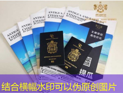 从“江南小上海”到枫叶国：嘉兴快速移民中介公司如何30天锁定省提名？